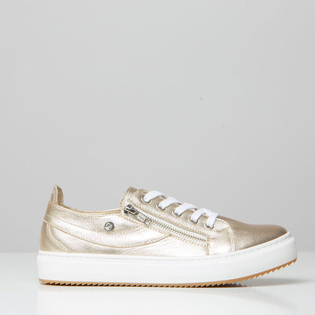 Zipper  | Zapatilla