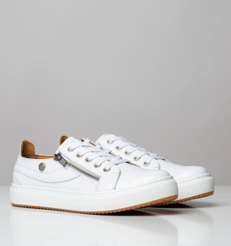 Zipper  | Zapatilla