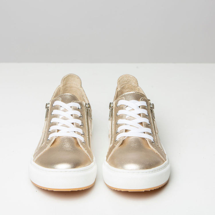 Zipper  | Zapatilla