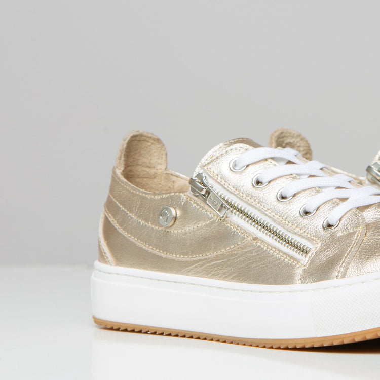 Zipper  | Zapatilla